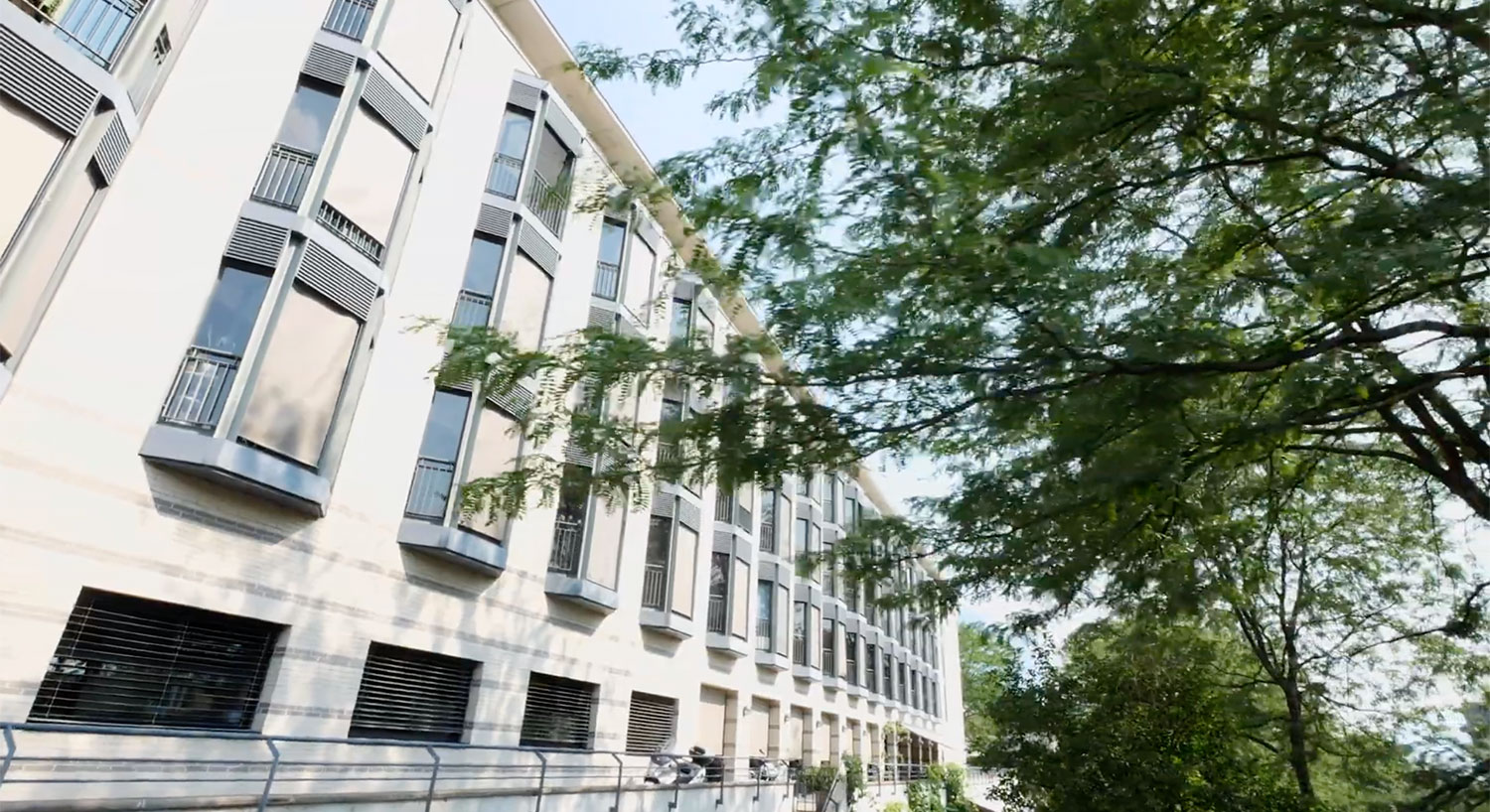 LIS - Lugano Istituti Sociali